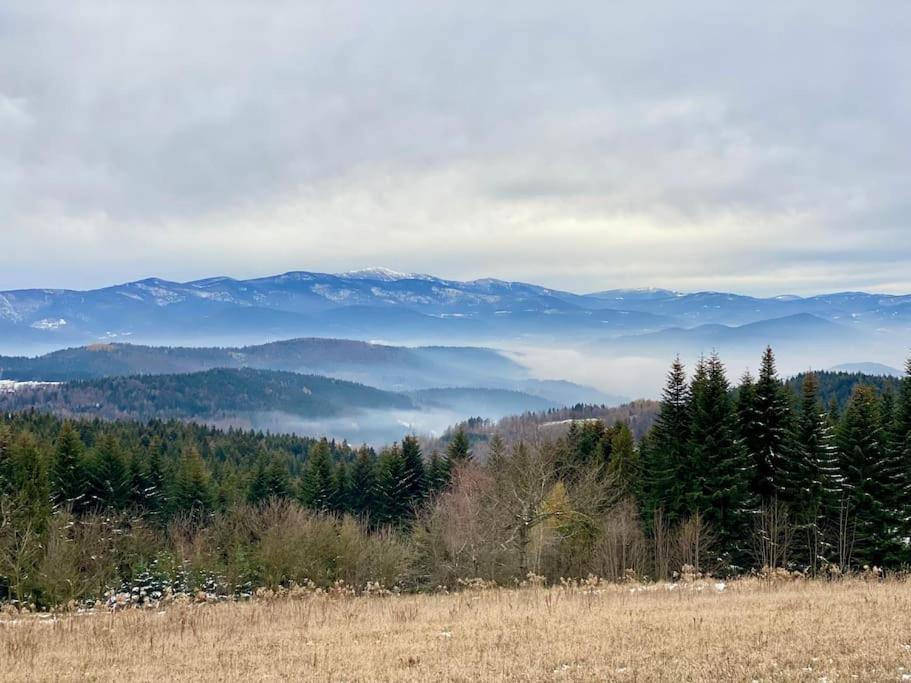 Blizej Nieba Koskowa Gora Villa Bogdanowka Ngoại thất bức ảnh