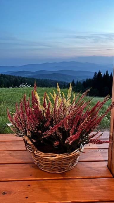 Blizej Nieba Koskowa Gora Villa Bogdanowka Ngoại thất bức ảnh